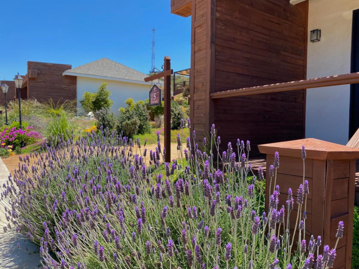 Entrevalle Hotel Boutique Valle de Guadalupe Exterior photo
