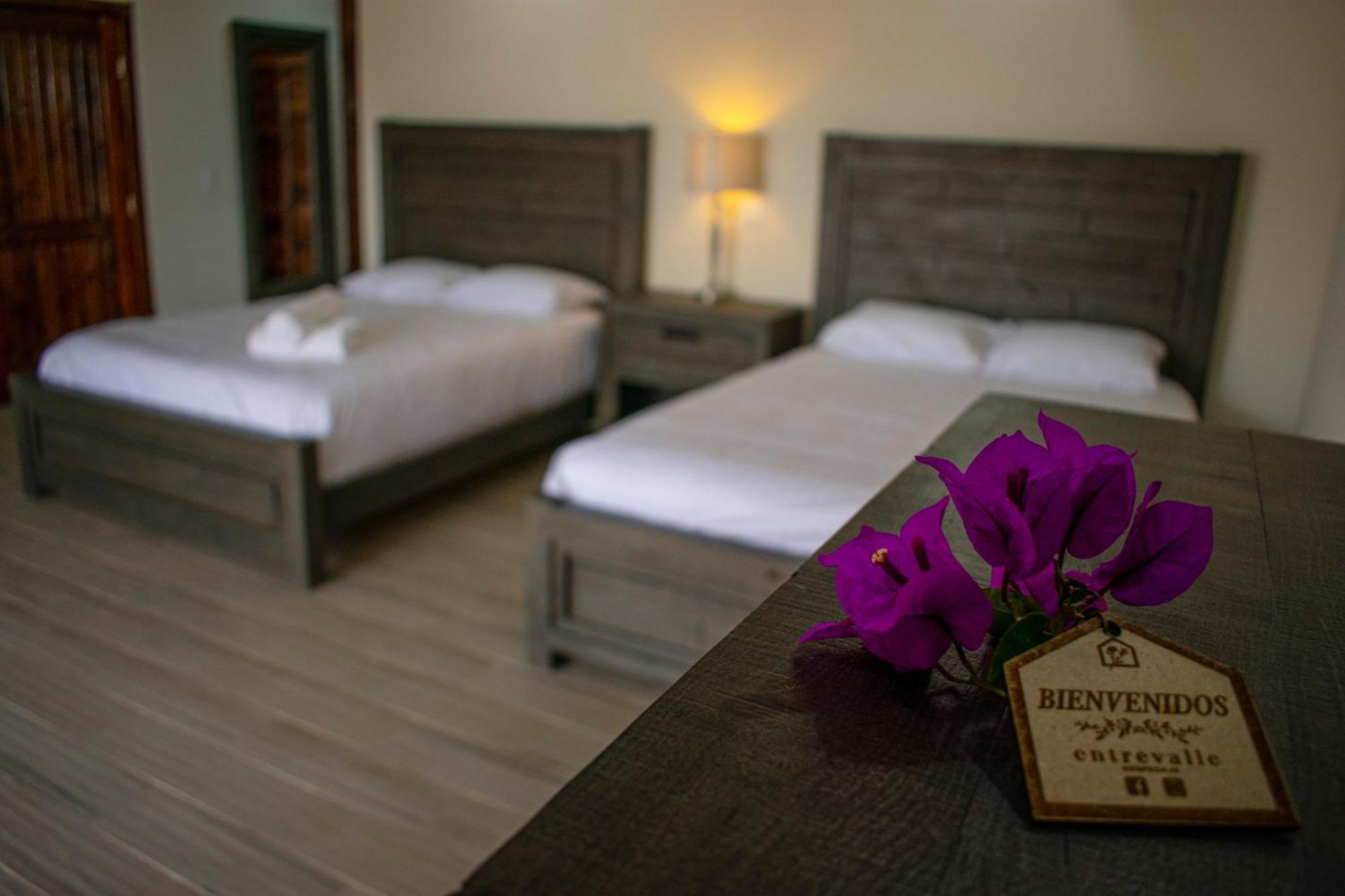 Entrevalle Hotel Boutique Valle de Guadalupe Room photo
